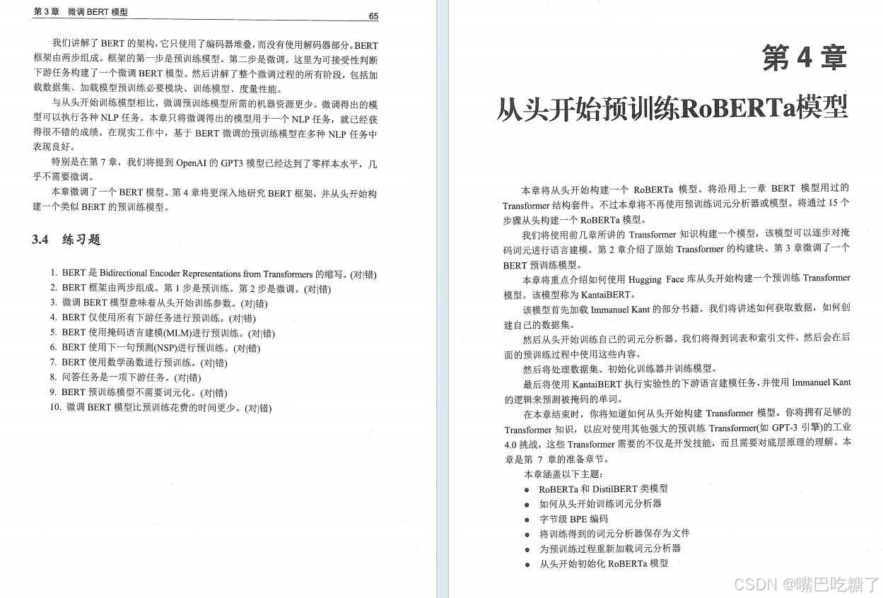 2024大模型书籍推荐，外网爆炸的《基于ChatGPT、GPT-4等Transformer架构的自然语言处理》_人工智能_05