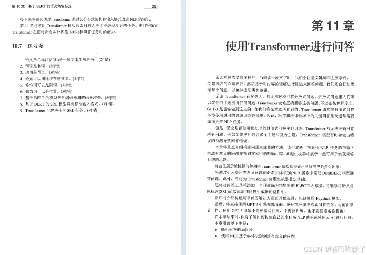 2024大模型书籍推荐，外网爆炸的《基于ChatGPT、GPT-4等Transformer架构的自然语言处理》_语言模型_12