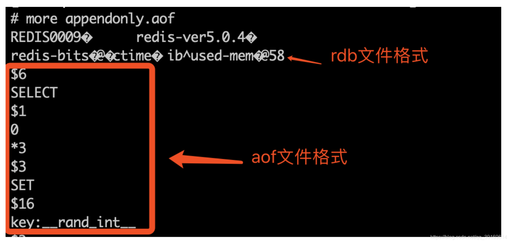 dump 恢复到redis_java_08