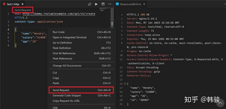 vscode rest client_vscode rest client