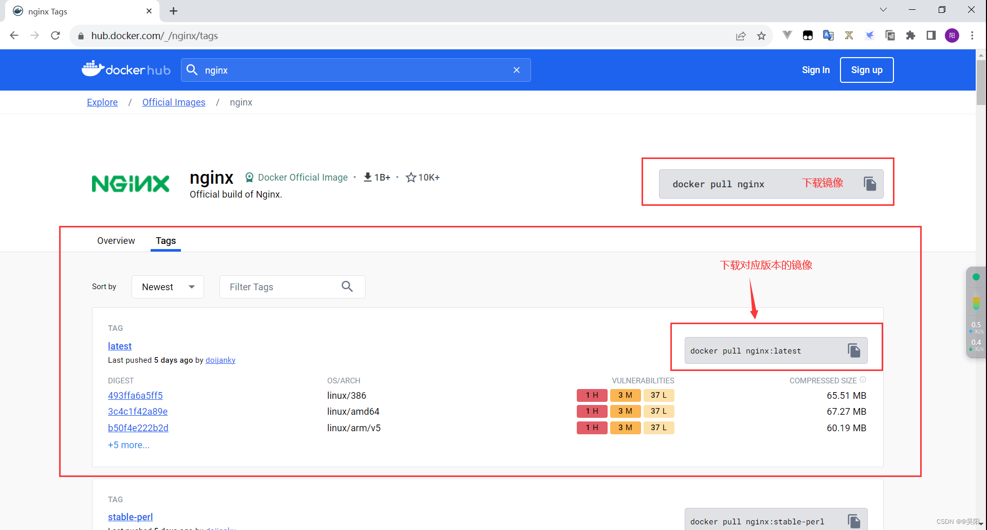 基于docker搭建nginx文件服务器_nginx_02