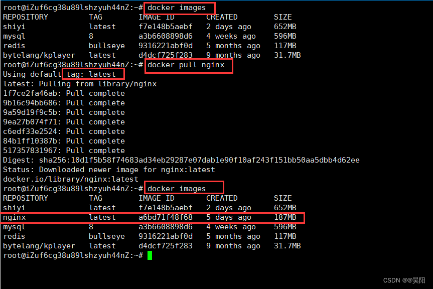 基于docker搭建nginx文件服务器_docker_03