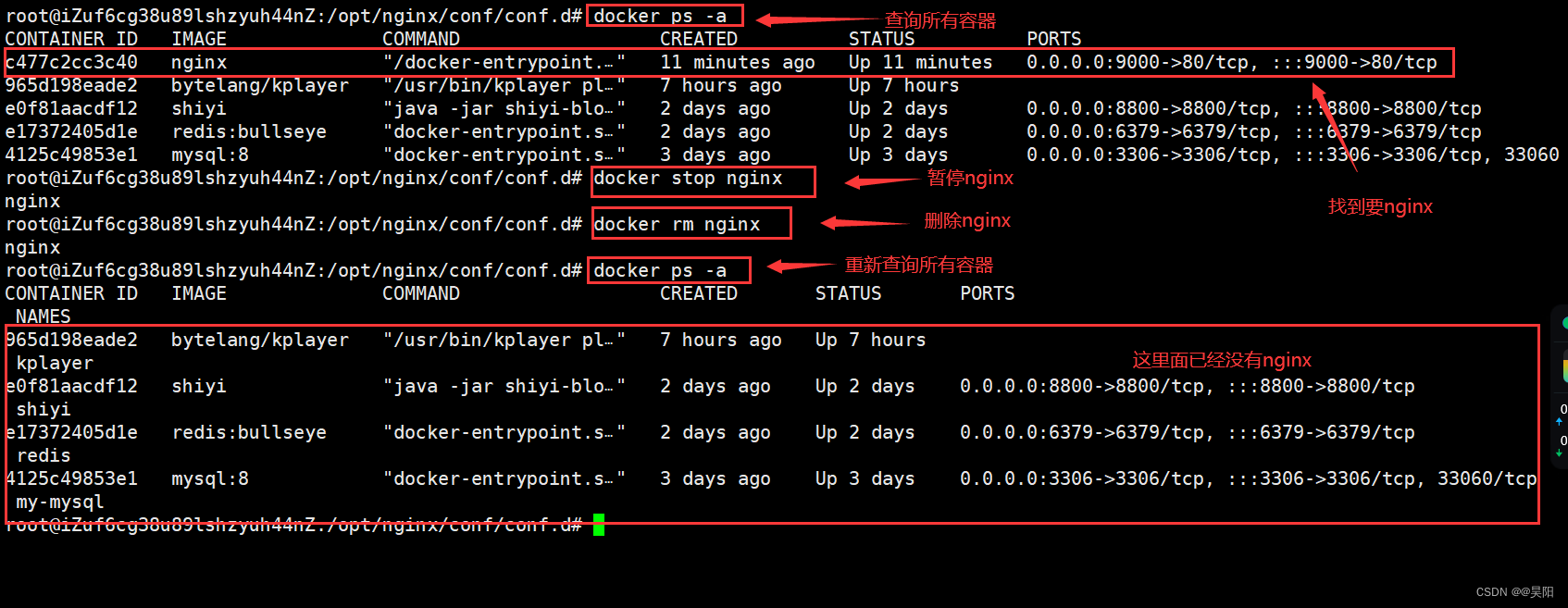 基于docker搭建nginx文件服务器_nginx_05