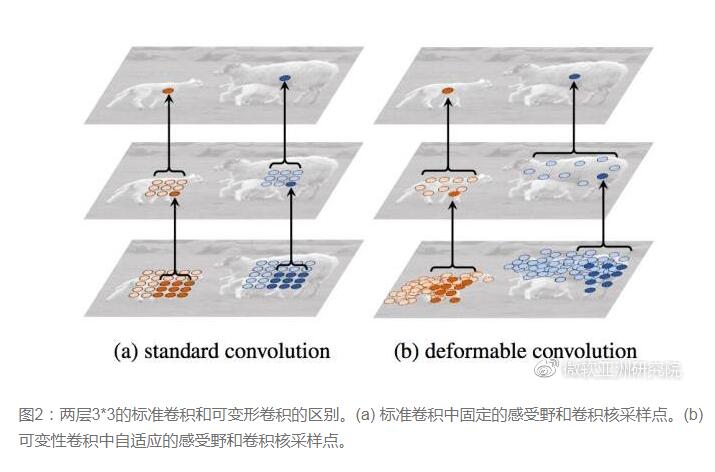 cnn处理二维图像卷积核_Tensorflow_14