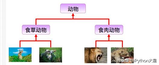 Java 判断多个 boolean 条件的工具类_子类_09