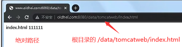 nginx反代网站_html_09