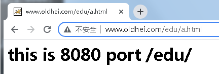 nginx反代网站_html_13