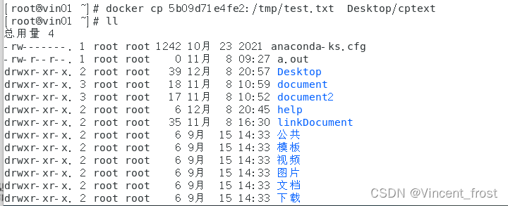 后台部署 docker nigix 的关系_docker_39