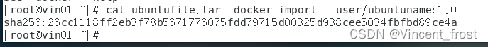 后台部署 docker nigix 的关系_Docker_42