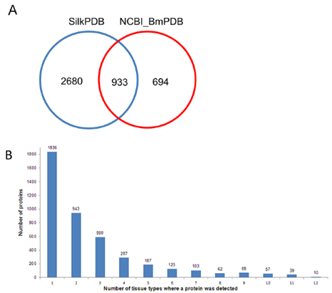 Ensembl Genomes下载GTF文件_数据库_02