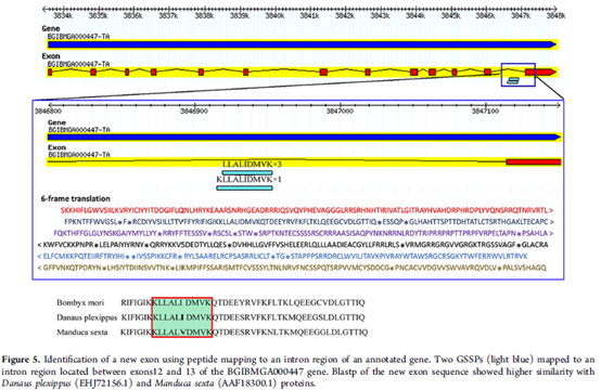 Ensembl Genomes下载GTF文件_数据库_06