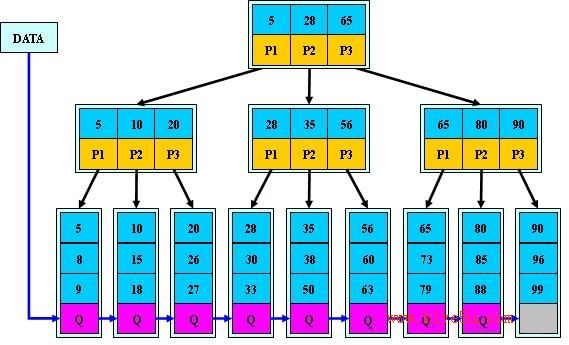 mysql一页多少_结点