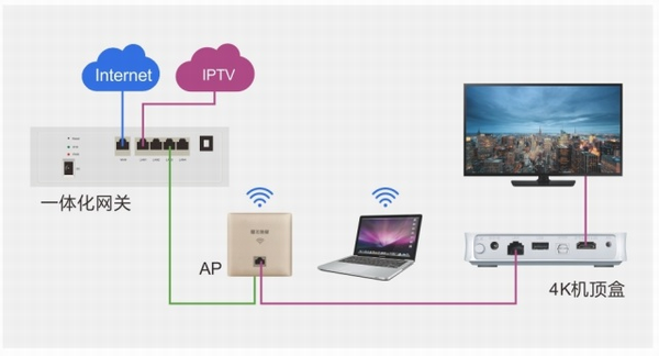 AP路由器VLAN_解决方案_11