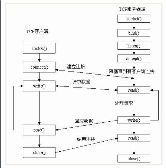 mt5套接字和Python服务器连接_客户端_03