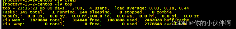 systemd cpu 某时候会占用 高_top命令_12