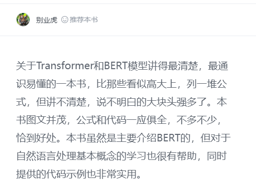 Transformer和BERT模型讲得最清楚，最通识易懂的一本书《BERT基础教程：Transformer大模型实战》_人工智能_02