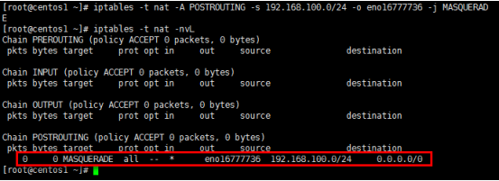 iptables nat表_网络_11