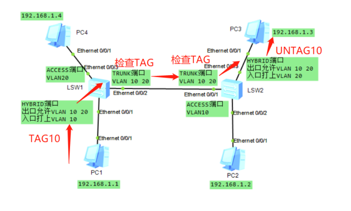 undo port default vlan 为什么出错_数据_03