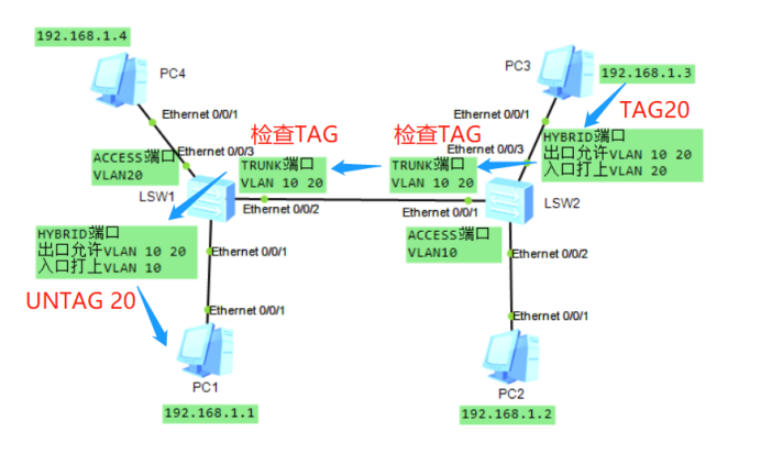 undo port default vlan 为什么出错_数据_04