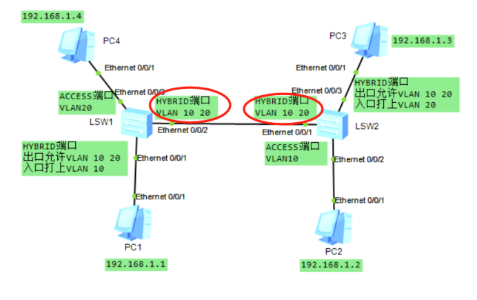 undo port default vlan 为什么出错_网络分割_05