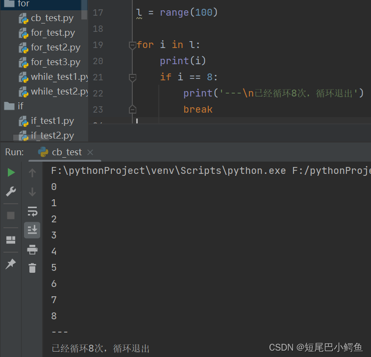 python 定时退出循环_条件语句_04