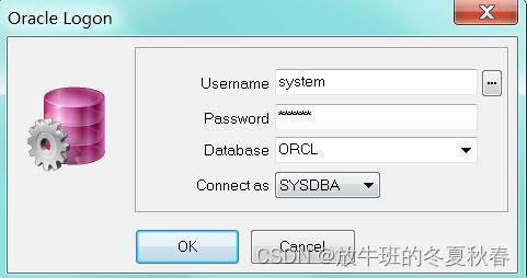 sql server 分配datareader权限_Developer_02