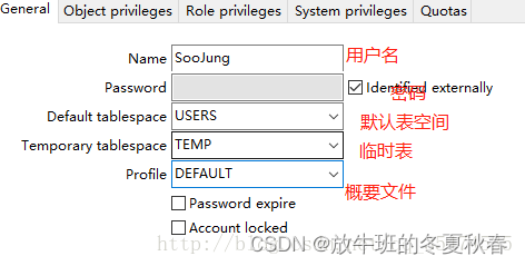 sql server 分配datareader权限_数据库_04