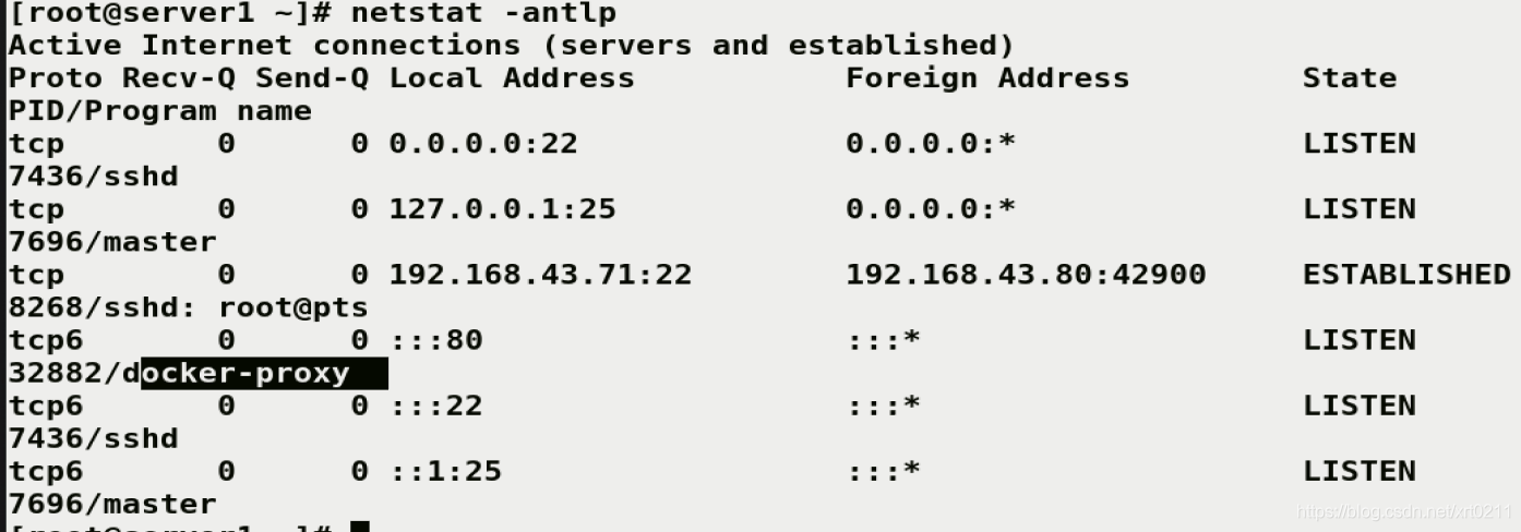 autodl自己的docker_IP_16