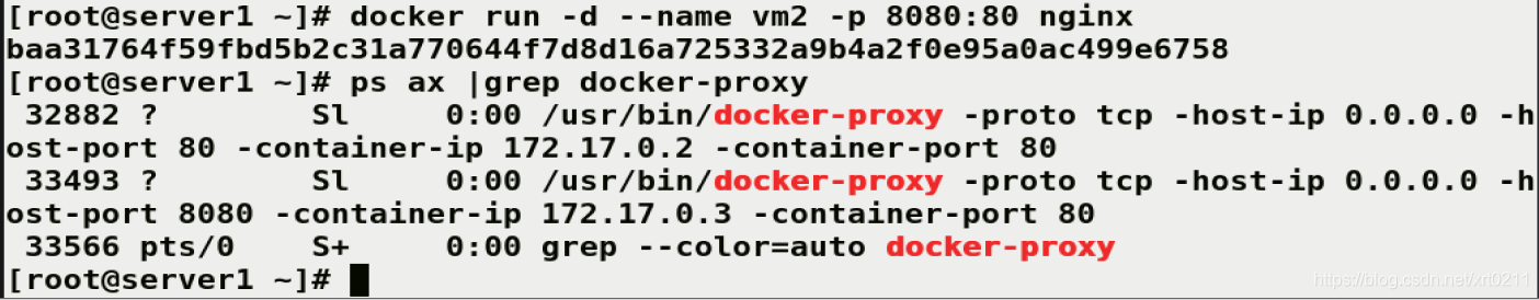 autodl自己的docker_IP_17