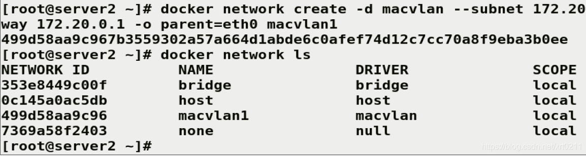 autodl自己的docker_IP_21