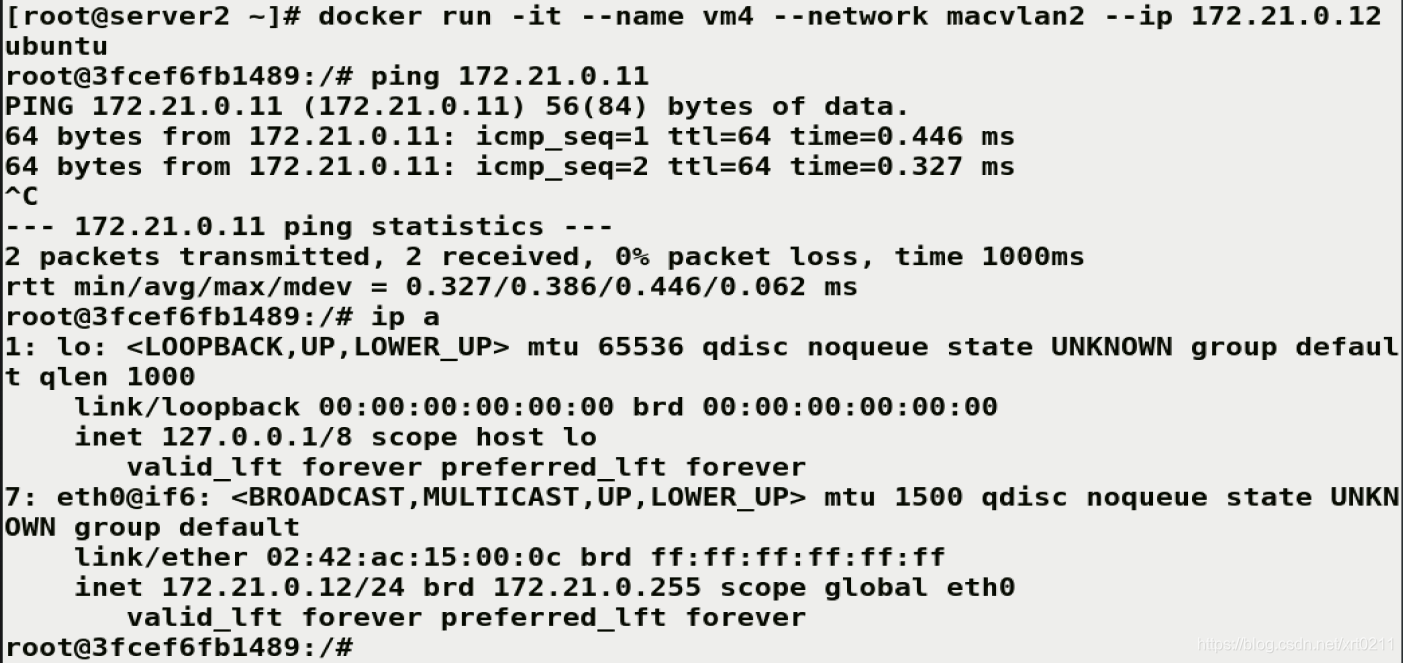 autodl自己的docker_IP_23