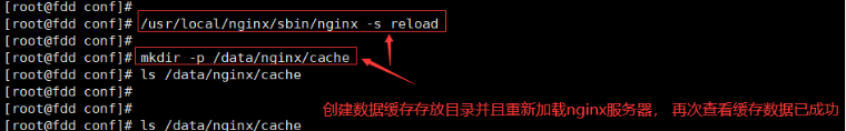 nginx验证https证书_nginx_20