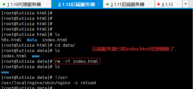 nginx验证https证书_nginx_22