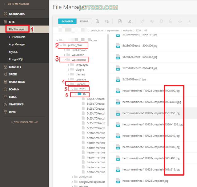 在wordpress element插件中 如何引入js代码_ooc