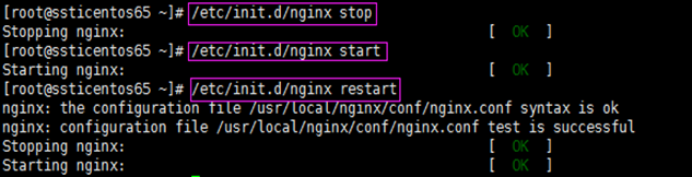 Linux Nginx arm版本安装_nginx_21