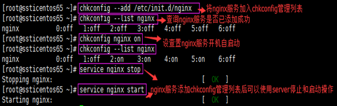 Linux Nginx arm版本安装_Nginx_22