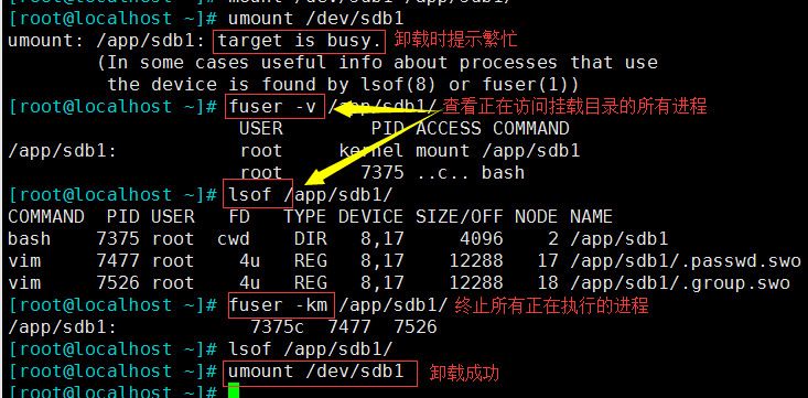 mount实现kubelet给pod挂载nfs存储并共享_文件系统_02