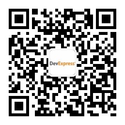 devexpress22汉化_DevExpress_03