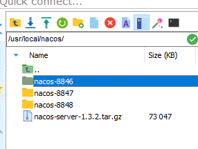 nacos集群rpc端口_Nginx_02