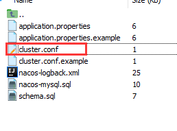 nacos集群rpc端口_Nginx_05