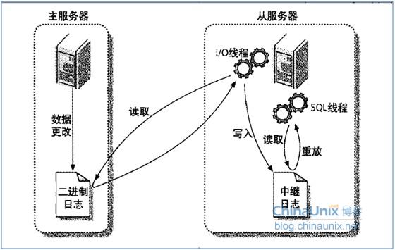 主从搭建mysqldump_数据库