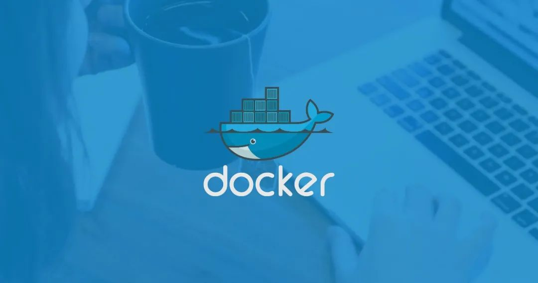 docker安装mysql进度不动_数据