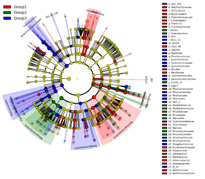 如何简化美化LEfSe分析结果中的Cladogram图_文件保存_02