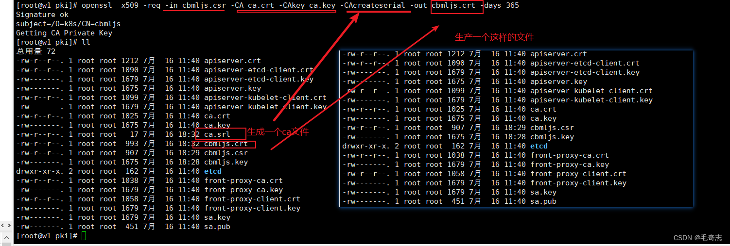 k8s ingress tls证书 pem_docker_04