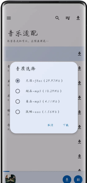 适配音乐v3.2.0 最新可用_网盘_02