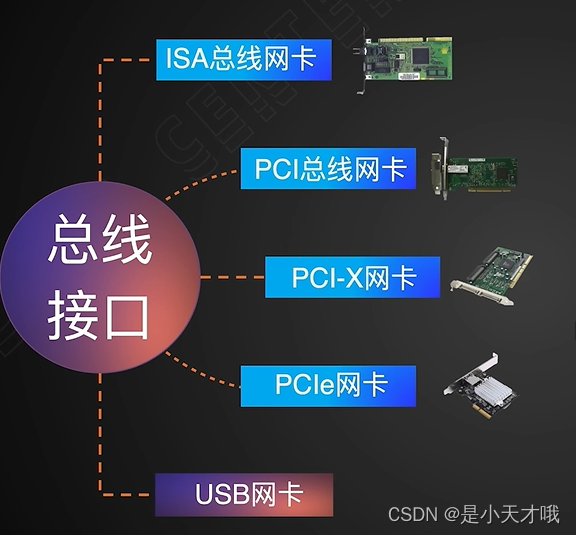 如何使用bios对网卡进行检测_学习_13