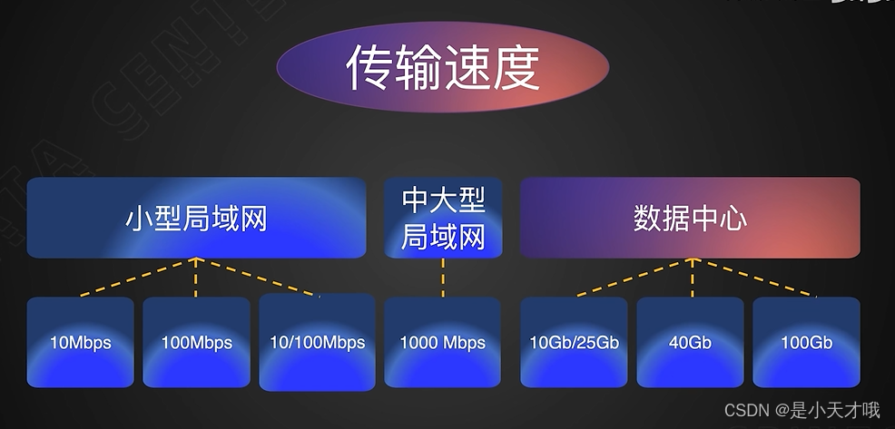 如何使用bios对网卡进行检测_网线_24