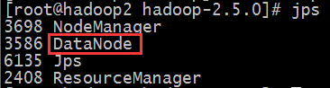 centos 安装 hadoop 单节点_hadoop_13