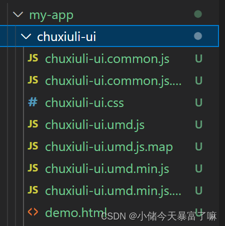 npm 查看本地仓库地址_Vue_05