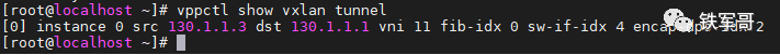 vxlan 头_linux_11